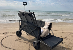 Beach Trolley